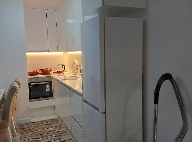 Golden Apartmens 公寓 塞拉耶佛