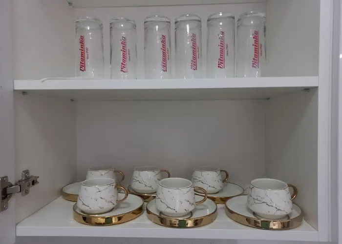 公寓 Golden Apartmens 塞拉耶佛